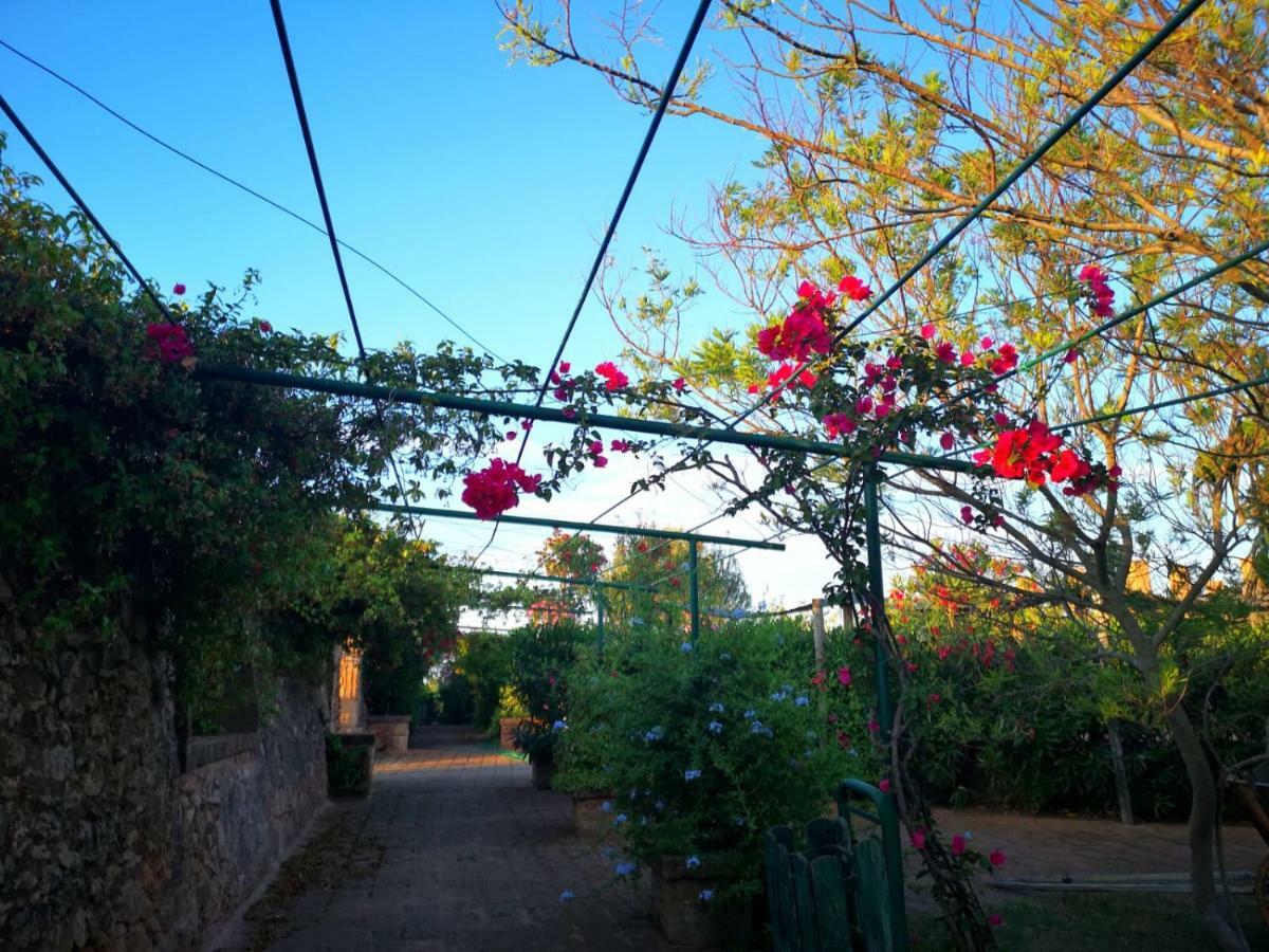 Masseria Provenzani Villa Trepuzzi Exterior foto