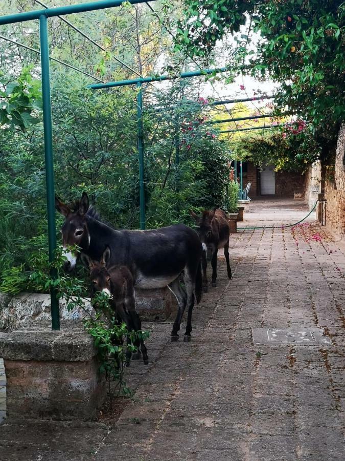 Masseria Provenzani Villa Trepuzzi Exterior foto